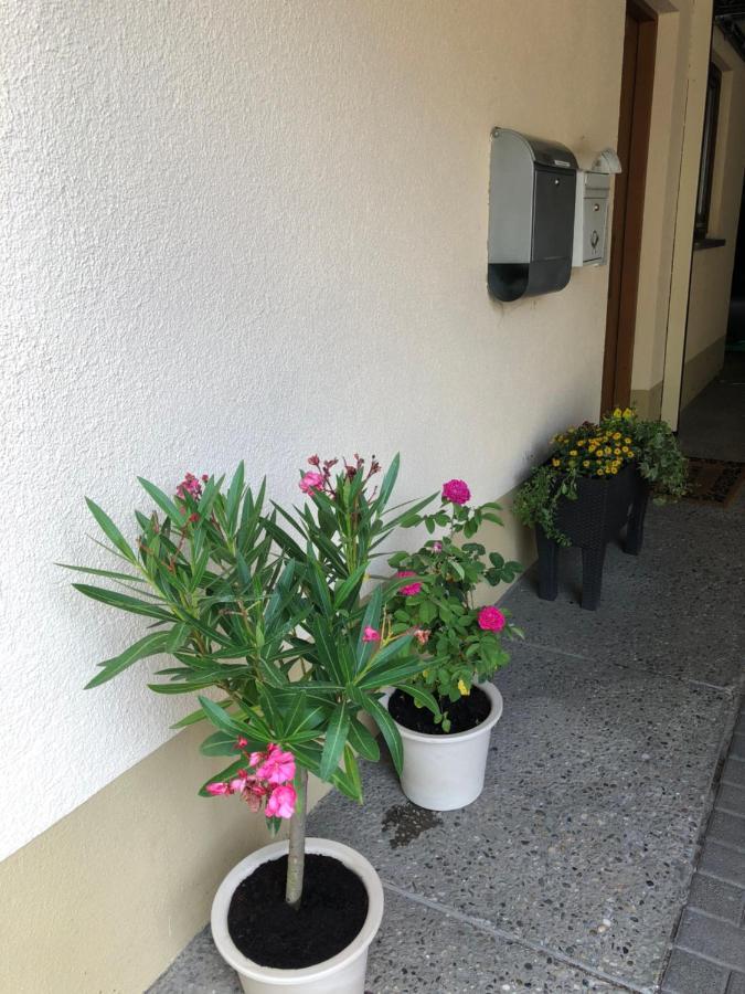 Ferienwohnung Am Gaessle Ettenheim Extérieur photo
