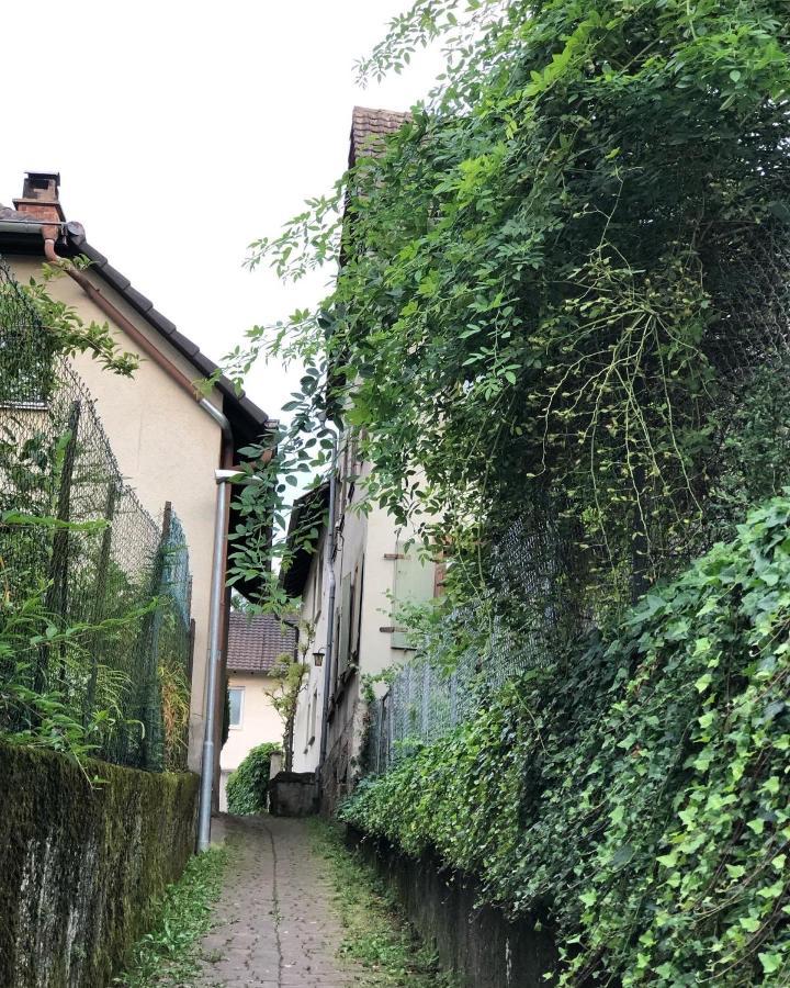 Ferienwohnung Am Gaessle Ettenheim Extérieur photo